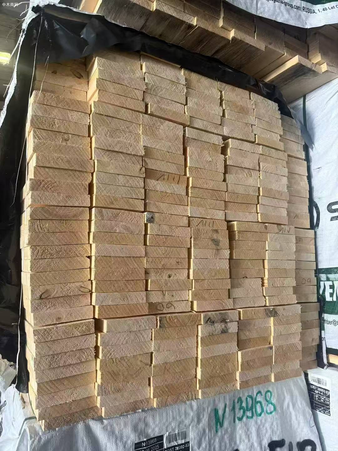 俄羅斯NOVO樟子松烘干板材批發廠家