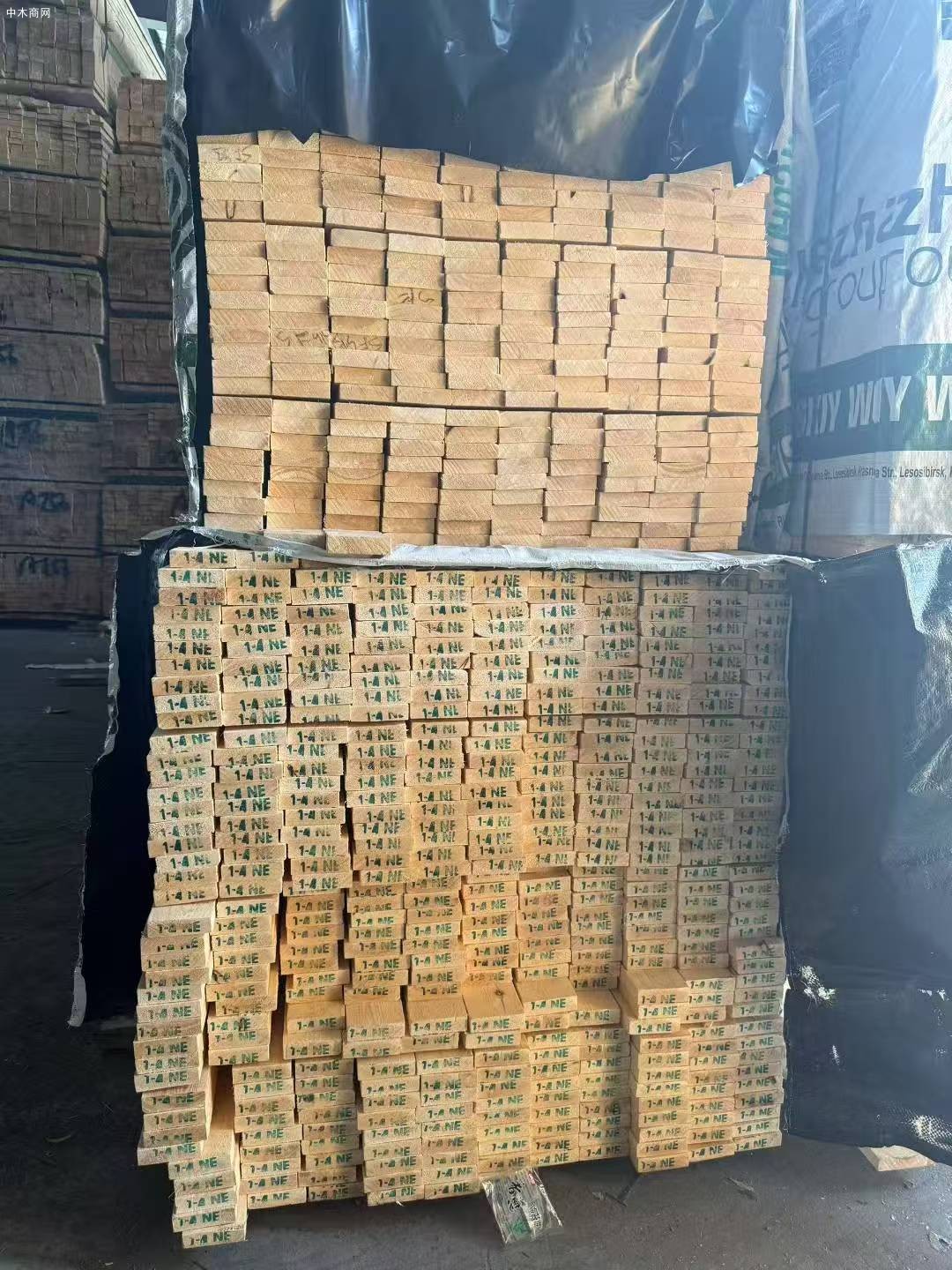 俄羅斯NOVO樟子松烘干板材批發品牌
