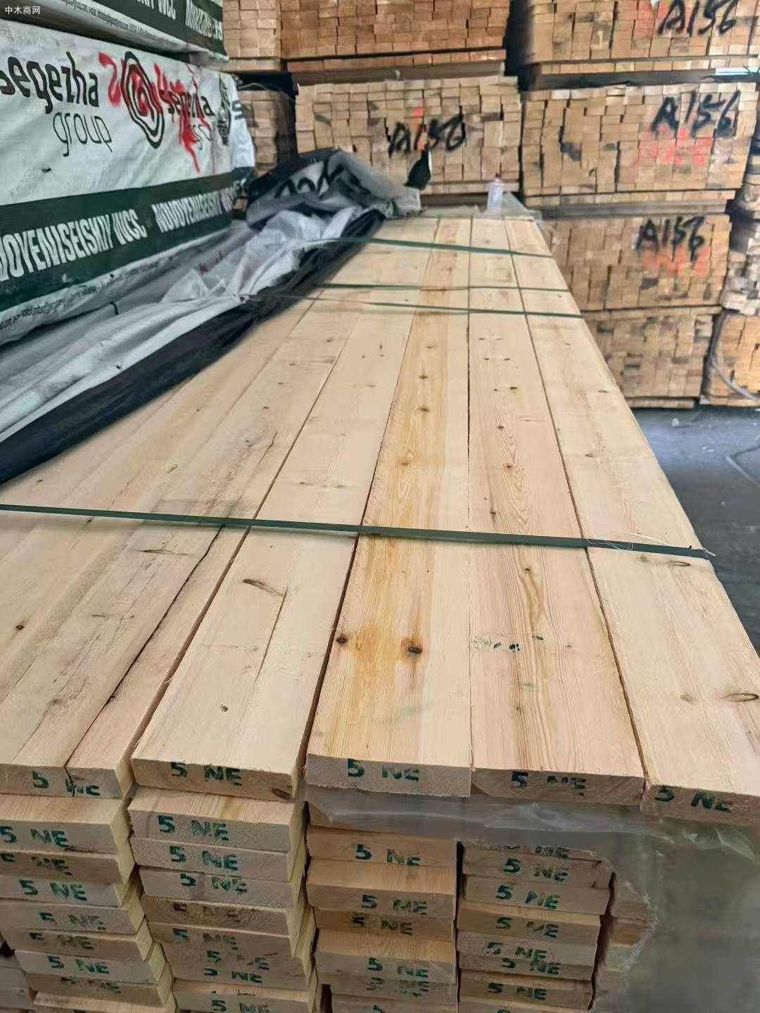 俄羅斯NOVO樟子松烘干板材批發批發