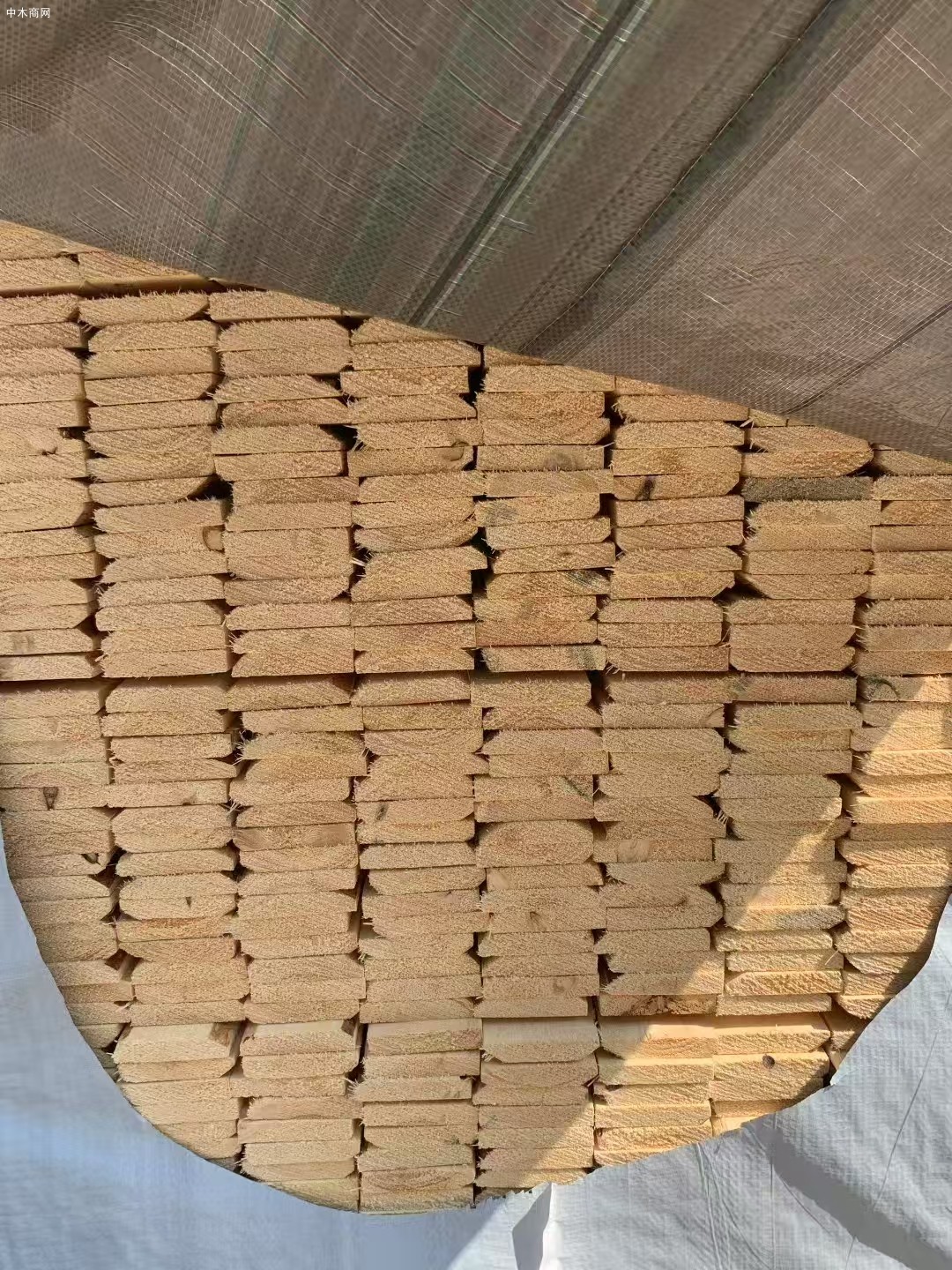 特價處理俄羅斯樟子松烘干板材