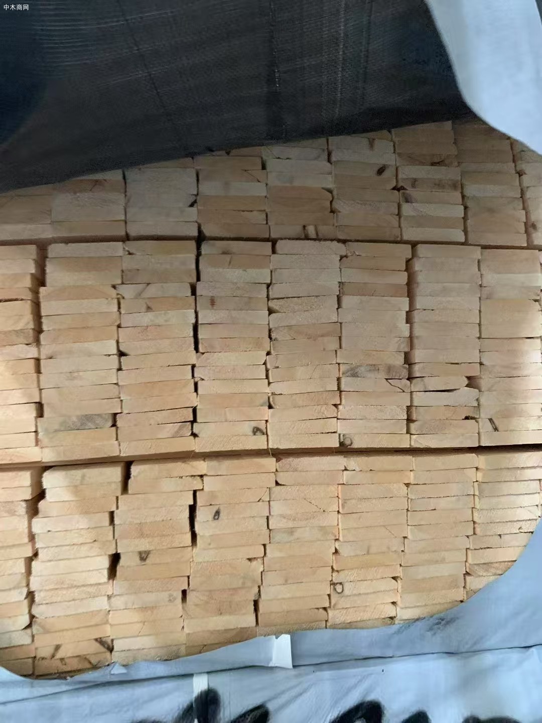 特價處理俄羅斯樟子松烘干板材圖片